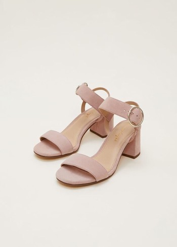 Phase Eight Suede Buckleed Heels Rose USA | 9837451-XD